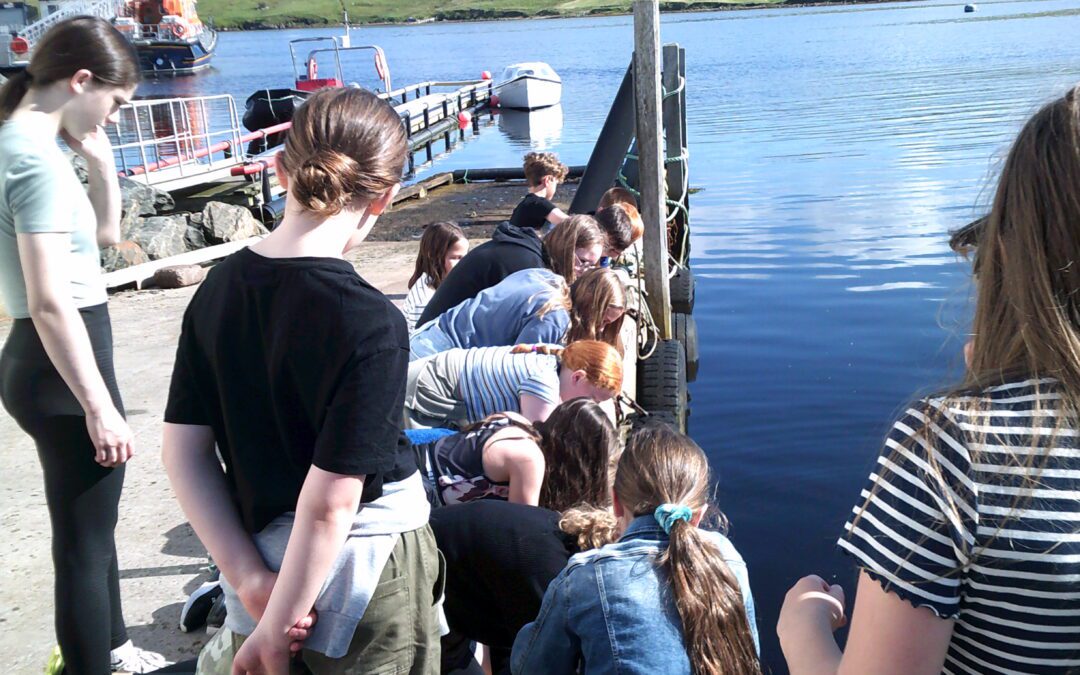 Empowering Young Voices: The Children and Teenagers’ Westside Plan with Shetland Islands Council